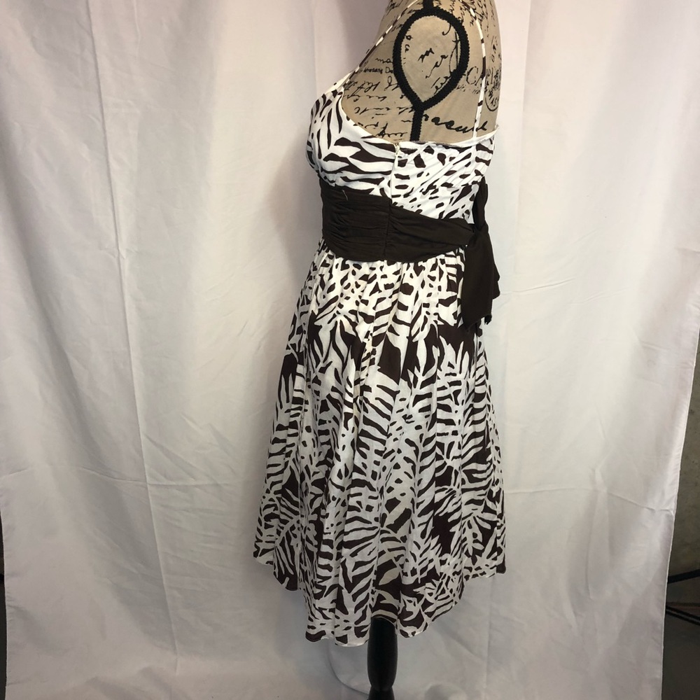 Maggy London 6p Brown white pinup dress bow chic - Picture 3 of 7